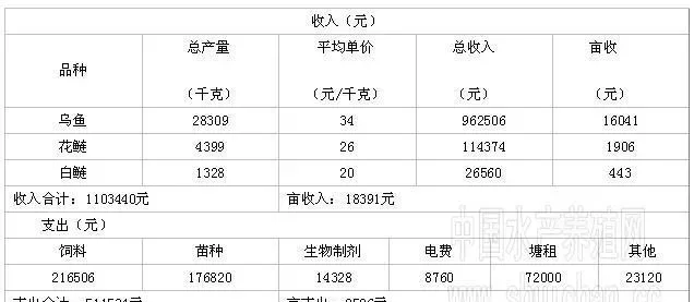 黑鱼养殖套养花鲢白鲢每亩获纯利润9865元