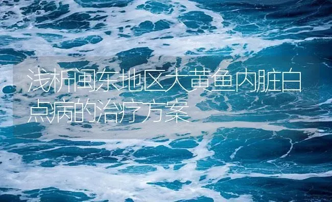 浅析闽东地区大黄鱼内脏白点病的治疗方案 | 养殖病虫害防治