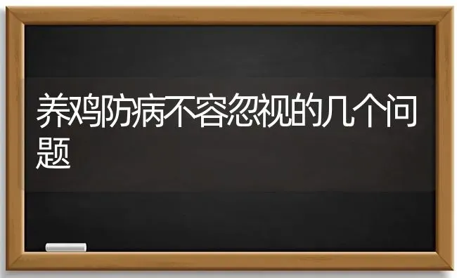 养鸡防病不容忽视的几个问题 | 家禽养殖