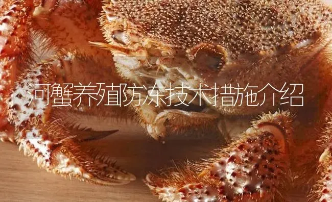 河蟹养殖防冻技术措施介绍 | 淡水养殖