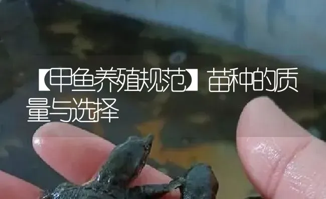 苗种的质量与选择 | 淡水养殖