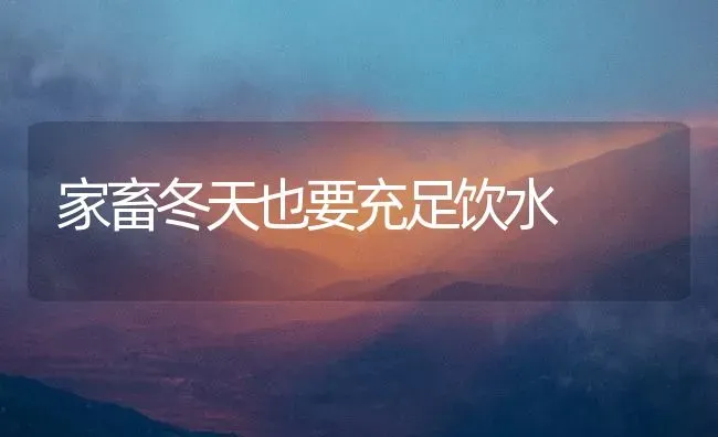 家畜冬天也要充足饮水 | 家畜养殖
