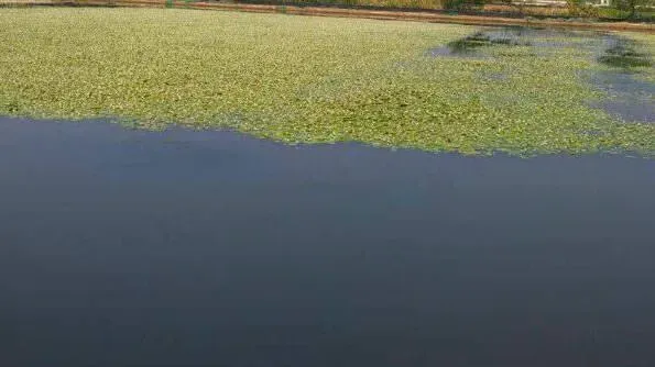 “超能粒+上水”黄金组合处理“酱油水”