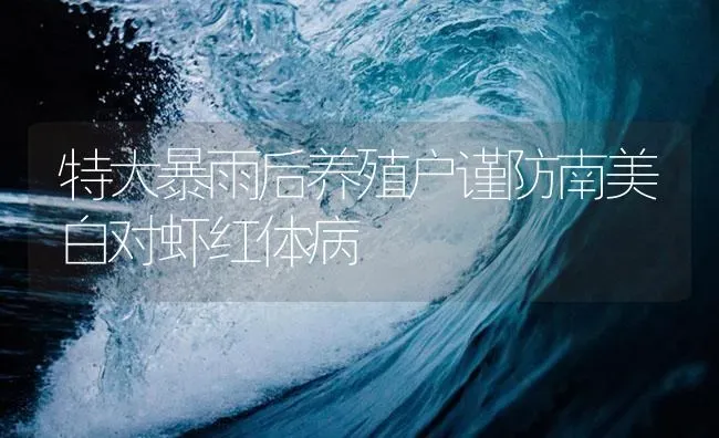 特大暴雨后养殖户谨防南美白对虾红体病 | 海水养殖