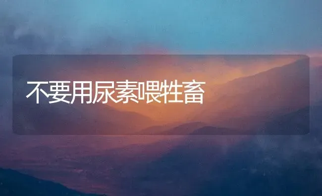 不要用尿素喂牲畜 | 家畜养殖