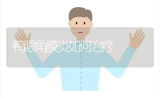 鸭眼角膜炎如何治疗 | 家禽养殖