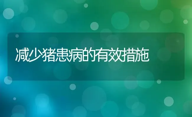 减少猪患病的有效措施 | 家畜养殖