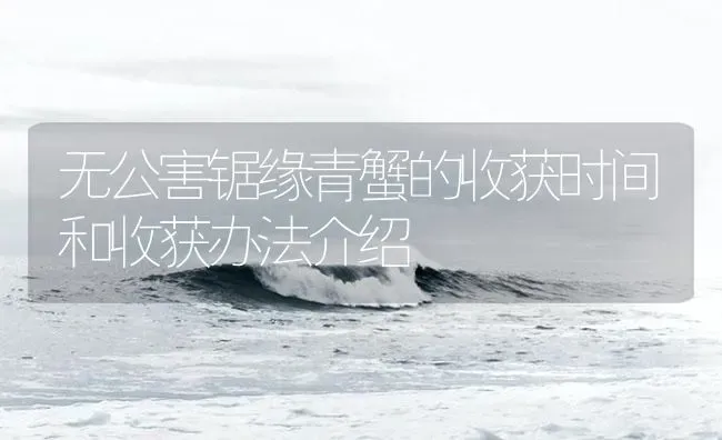 无公害锯缘青蟹的收获时间和收获办法介绍 | 海水养殖