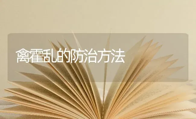 禽霍乱的防治方法 | 家禽养殖