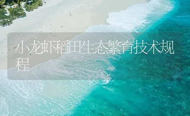 小龙虾稻田生态繁育技术规程 | 海水养殖