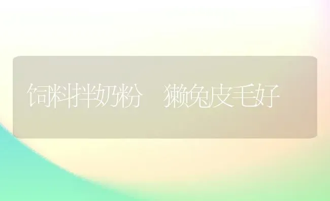 饲料拌奶粉 獭兔皮毛好 | 动物养殖饲料