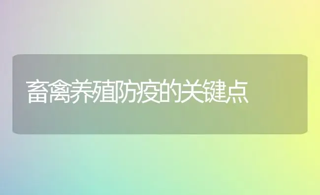 畜禽养殖防疫的关键点 | 家禽养殖