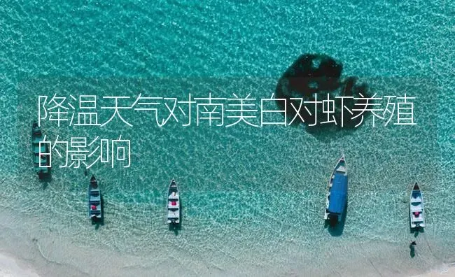 降温天气对南美白对虾养殖的影响 | 海水养殖