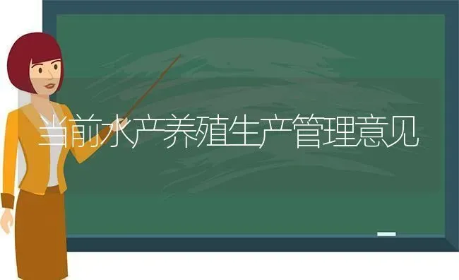 当前水产养殖生产管理意见 | 动物养殖百科