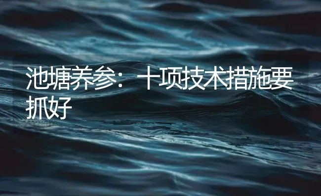 池塘养参：十项技术措施要抓好 | 海水养殖