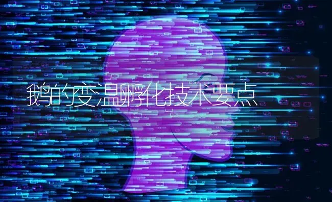 鹅的变温孵化技术要点 | 家禽养殖