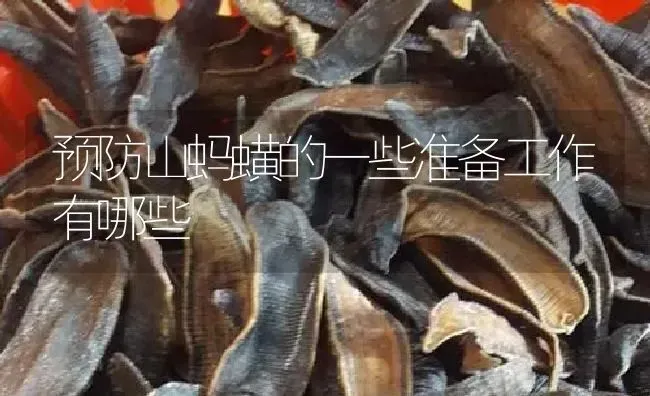 预防山蚂蟥的一些准备工作有哪些 | 特种养殖