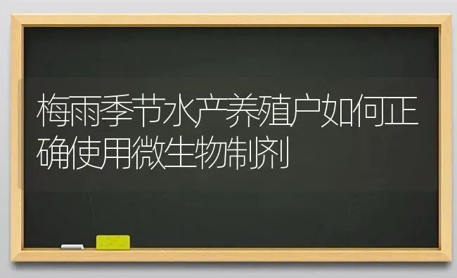 梅雨季节水产养殖户如何正确使用微生物制剂 | 动物养殖百科