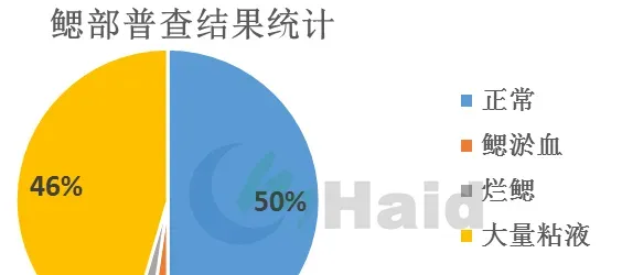 危急！一大波鱼病即将来袭，您的鱼塘顶的住吗？