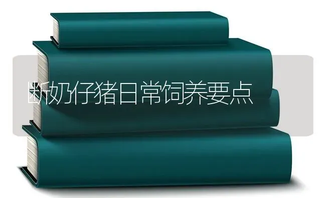 断奶仔猪日常饲养要点 | 家畜养殖