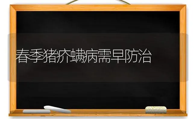 春季猪疥螨病需早防治 | 家畜养殖