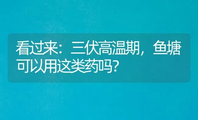 看过来：三伏高温期，鱼塘可以用这类药吗？ | 养殖病虫害防治