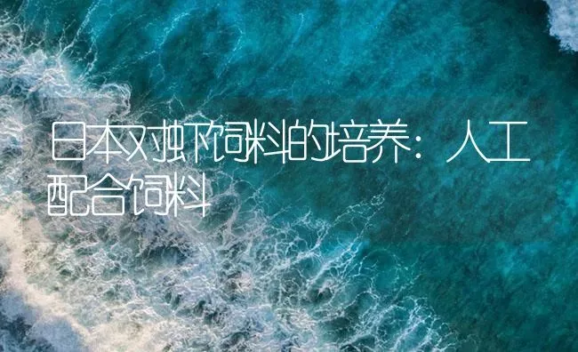 日本对虾饲料的培养：人工配合饲料 | 海水养殖