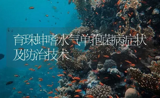 育珠蚌嗜水气单孢菌病症状及防治技术 | 养殖病虫害防治