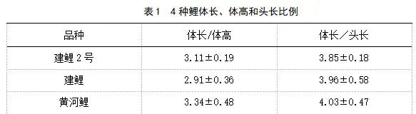 新品种：“建鲤2号”品种育种过程及试养效果