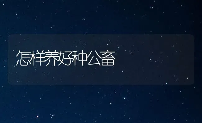 怎样养好种公畜 | 家畜养殖