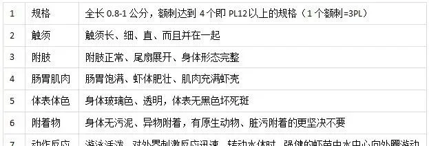 学会这几招，南美白对虾养殖户选苗不用愁