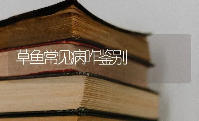 草鱼常见病咋鉴别 | 淡水养殖