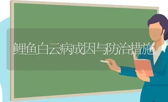 鲤鱼白云病成因与防治措施 | 淡水养殖