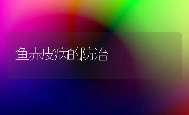鱼赤皮病的防治 | 淡水养殖