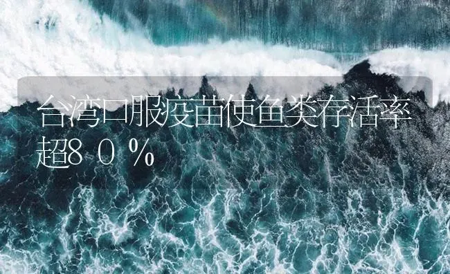 台湾口服疫苗使鱼类存活率超80% | 淡水养殖