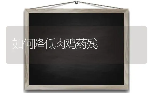 如何降低肉鸡药残 | 养殖病虫害防治