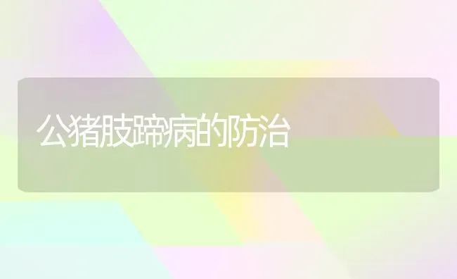 公猪肢蹄病的防治 | 家畜养殖