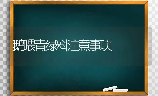 鹅喂青绿料注意事项 | 家禽养殖