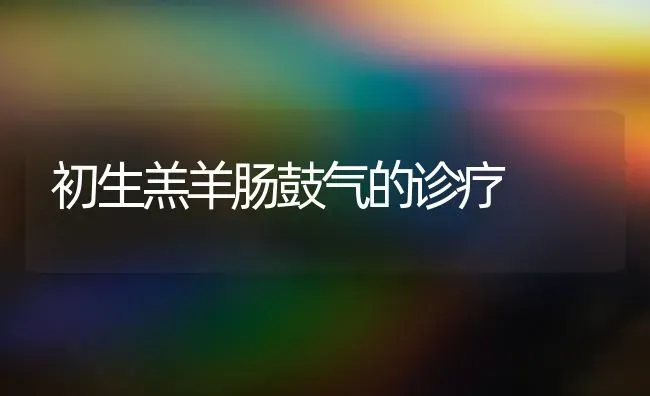 初生羔羊肠鼓气的诊疗 | 家畜养殖