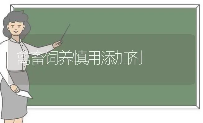 禽畜饲养慎用添加剂 | 家禽养殖