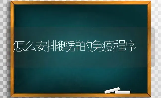 怎么安排鹅群的免疫程序 | 家禽养殖