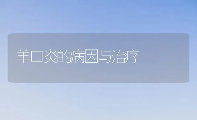 羊口炎的病因与治疗 | 家畜养殖