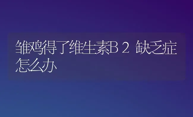 雏鸡得了维生素B2缺乏症怎么办 | 家禽养殖