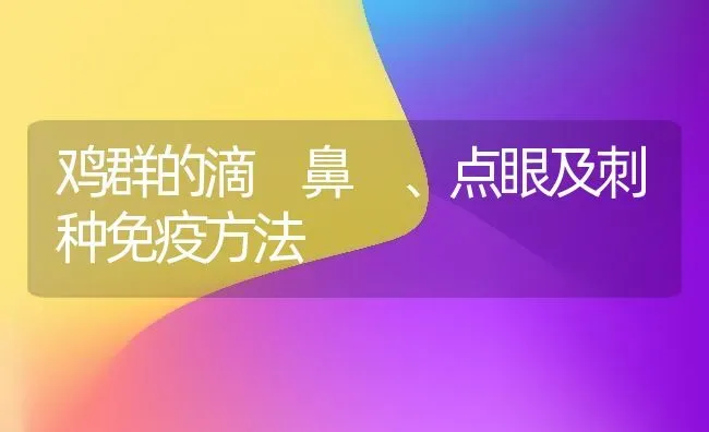 鸡群的滴 鼻 、点眼及刺种免疫方法 | 家禽养殖