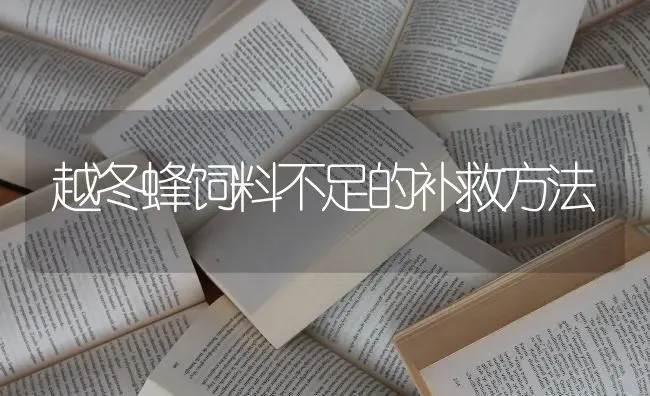 越冬蜂饲料不足的补救方法 | 动物养殖饲料