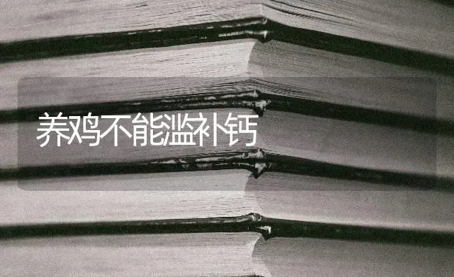 养鸡不能滥补钙 | 家禽养殖