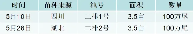 北方大棚鮰鱼苗养殖效果分享