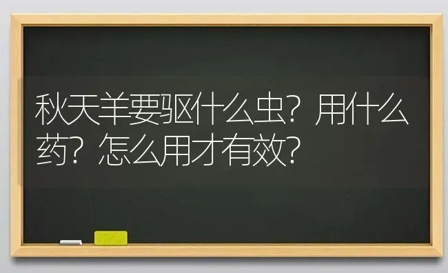 秋天羊要驱什么虫？用什么药？怎么用才有效？ | 养殖病虫害防治