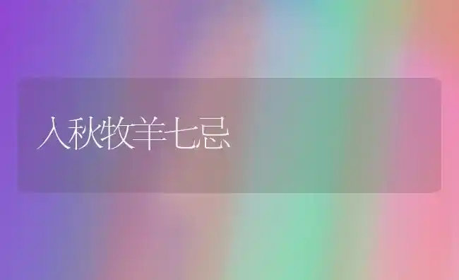 入秋牧羊七忌 | 家畜养殖