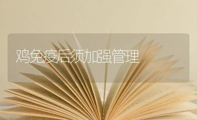 鸡免疫后须加强管理 | 家禽养殖